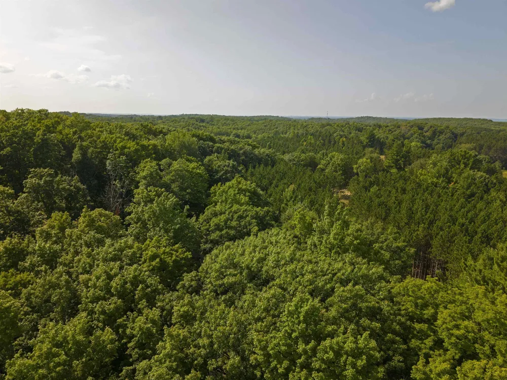 3037 Dockery Road, Nw Kalkaska Township, MI 49690