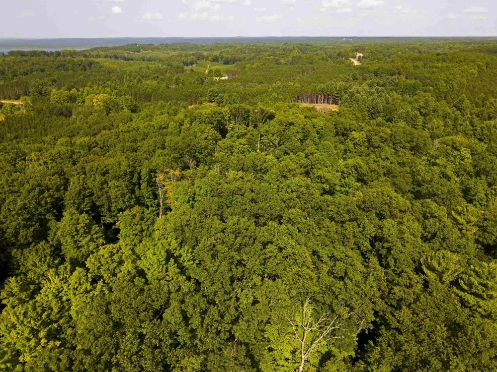 3037 Dockery Road, Nw Kalkaska Township, MI 49690