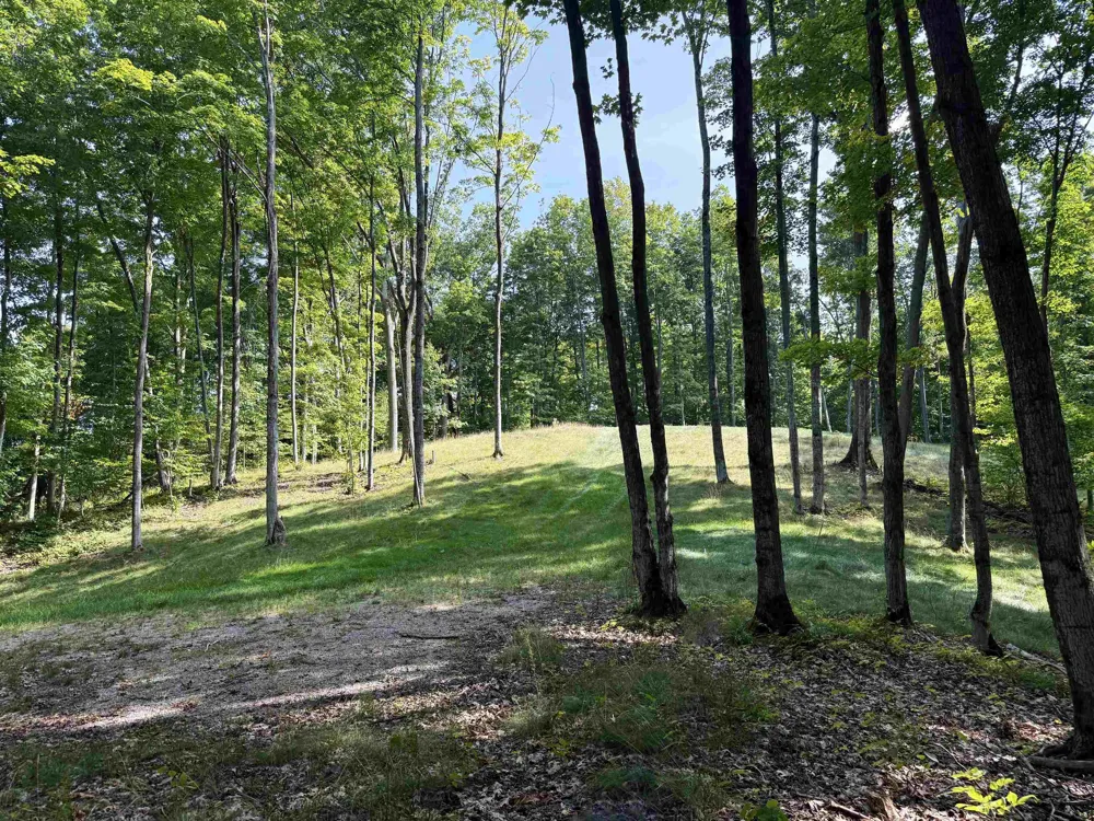 3037 Dockery Road, Nw Kalkaska Township, MI 49690