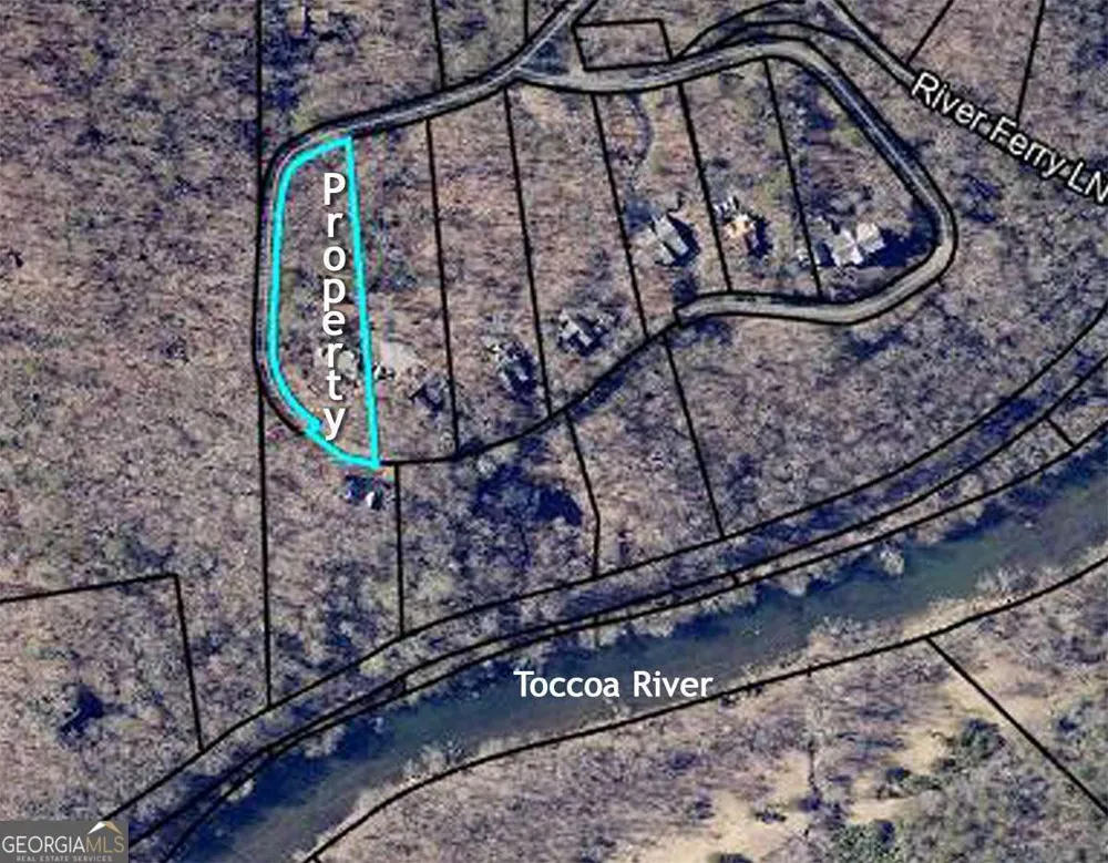 605 Toccoa Preserve LN Blue Ridge, GA 30513