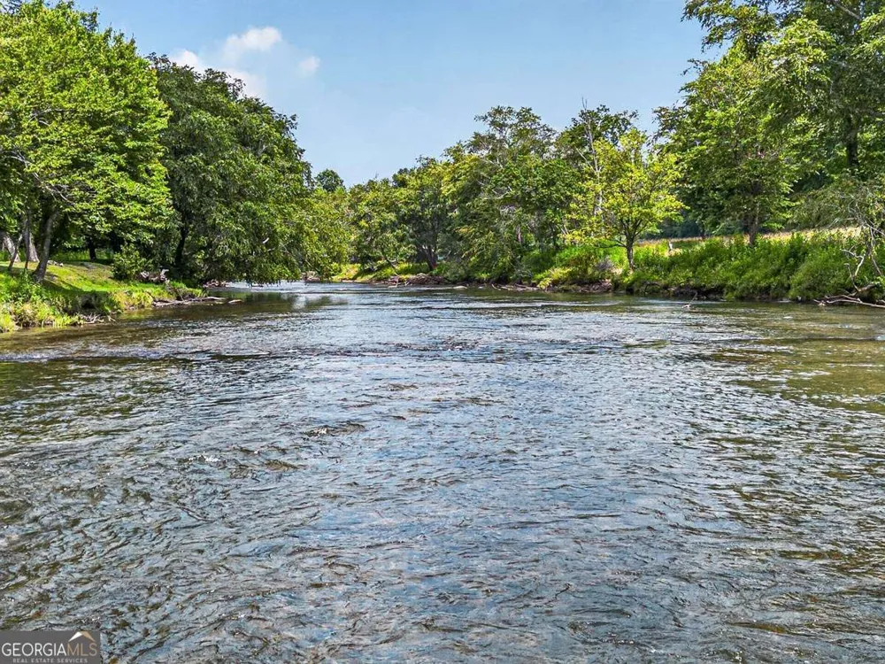 605 Toccoa Preserve LN Blue Ridge, GA 30513