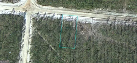 LOT 12 Satilla Plantation