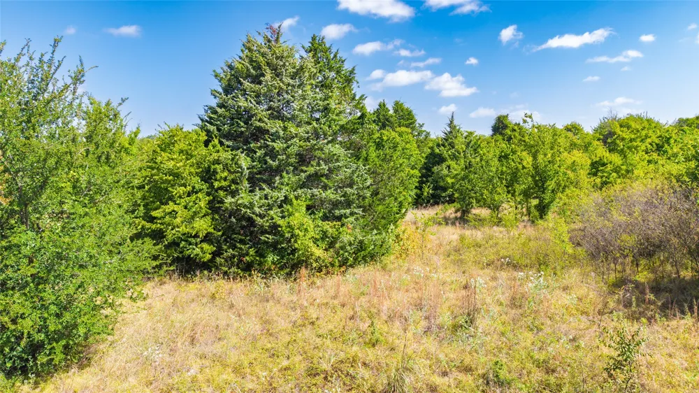 Gladys Lone Oak, TX 75135