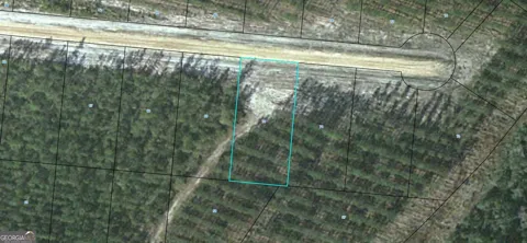 LOT 70 Satilla Plantation