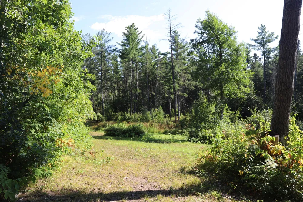 0000 Sand Lake Road Stone Lake, WI 54876