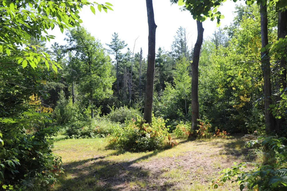 0000 Sand Lake Road Stone Lake, WI 54876