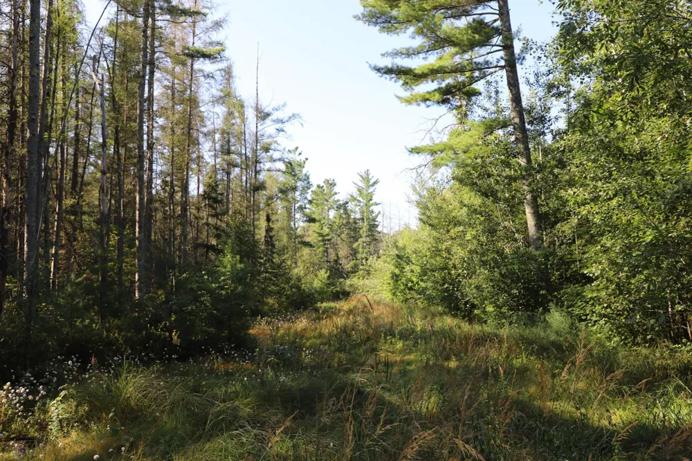 0000 Sand Lake Road Stone Lake, WI 54876
