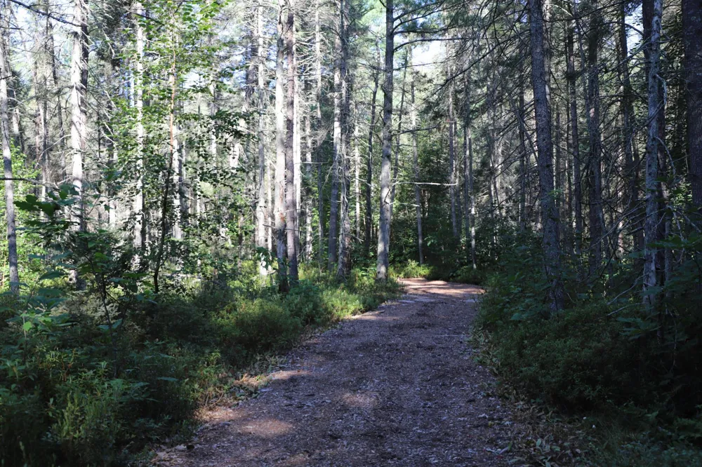 0000 Sand Lake Road Stone Lake, WI 54876