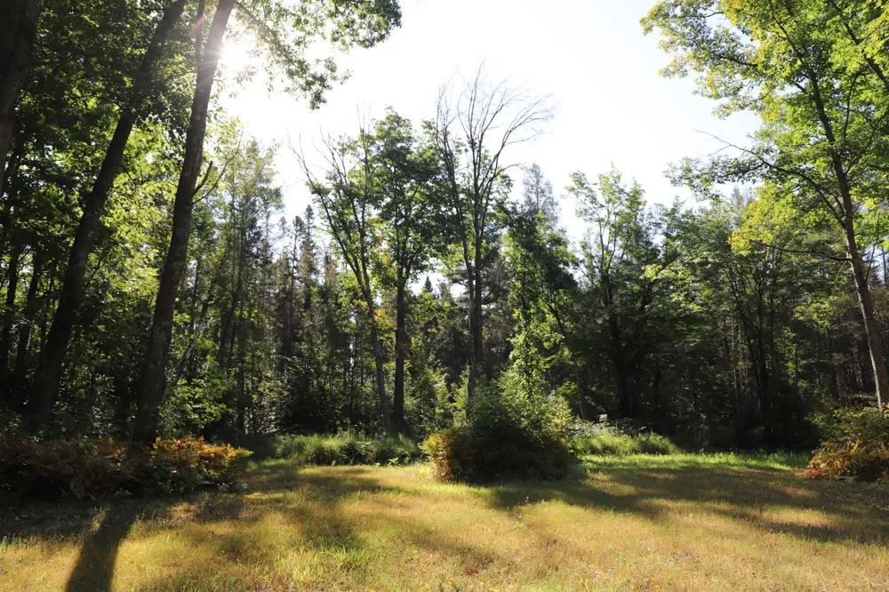 0000 Sand Lake Road Stone Lake, WI 54876