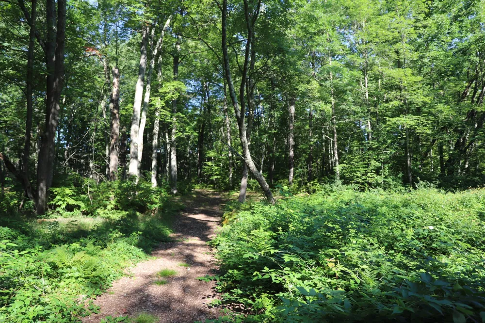 0000 Sand Lake Road Stone Lake, WI 54876