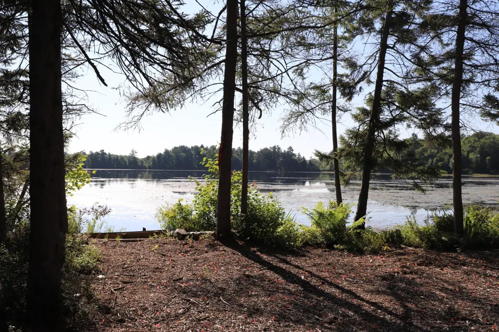 0000 Sand Lake Road Stone Lake, WI 54876