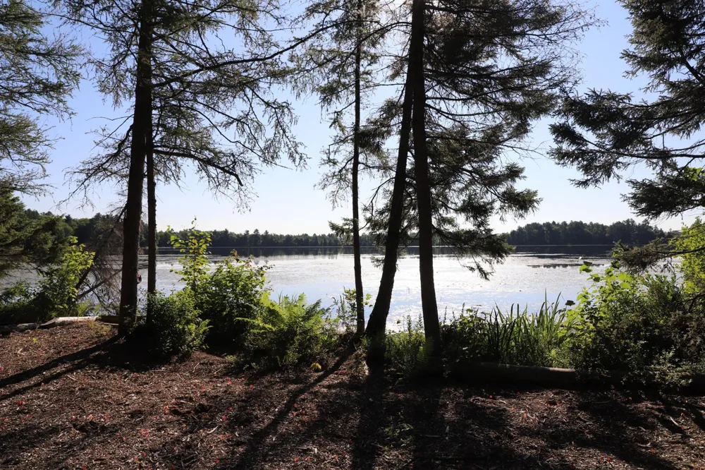 0000 Sand Lake Road Stone Lake, WI 54876
