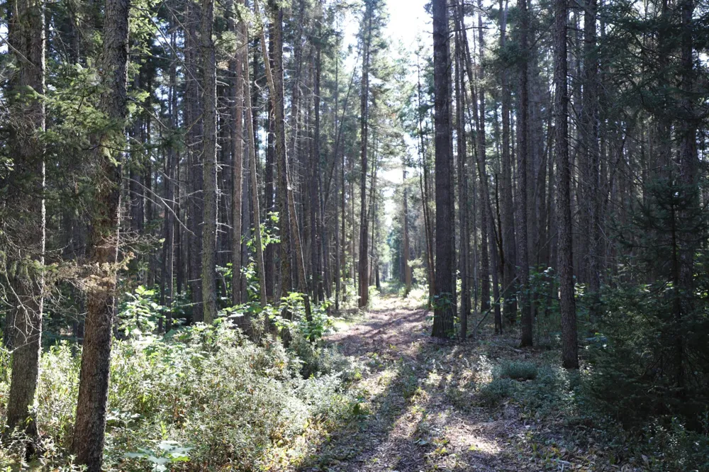 0000 Sand Lake Road Stone Lake, WI 54876