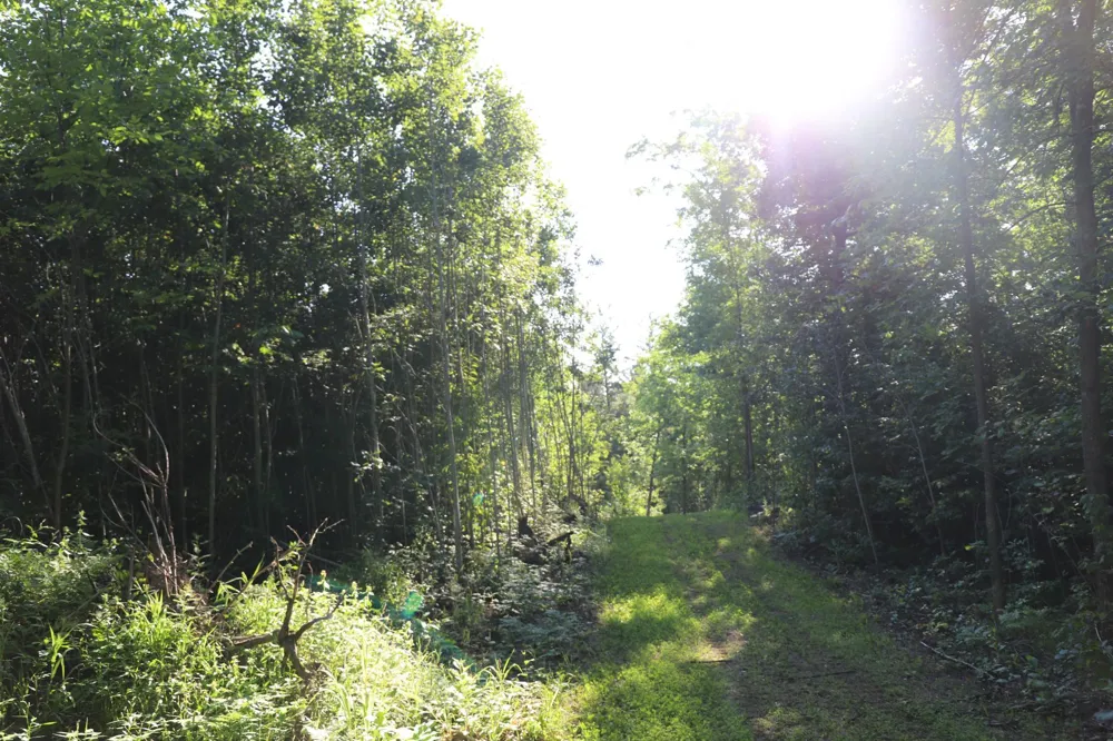 0000 Sand Lake Road Stone Lake, WI 54876