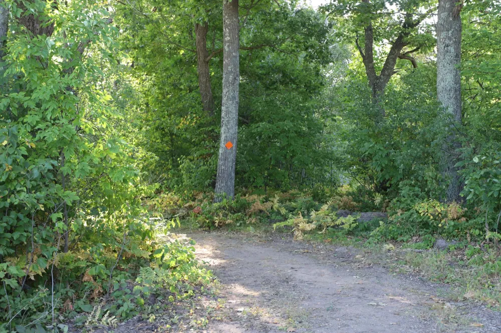 0000 Sand Lake Road Stone Lake, WI 54876