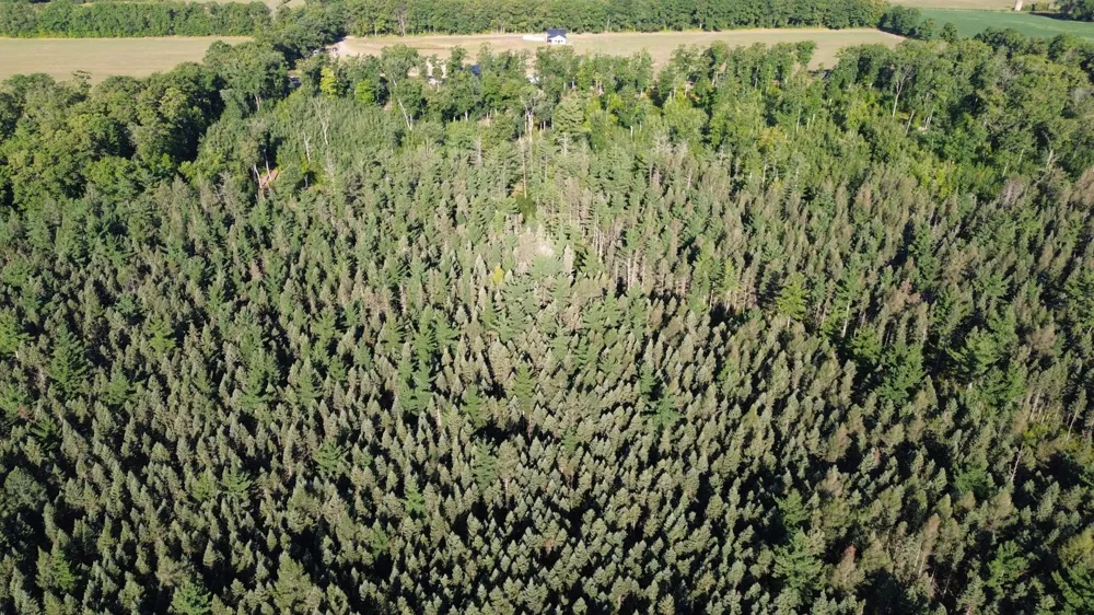 0000 Sand Lake Road Stone Lake, WI 54876