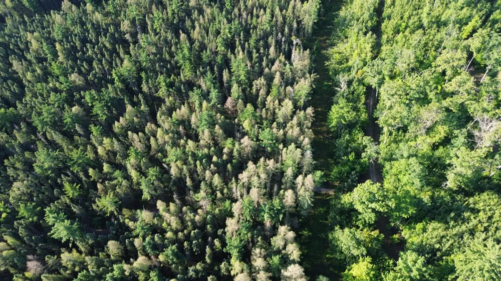 0000 Sand Lake Road Stone Lake, WI 54876