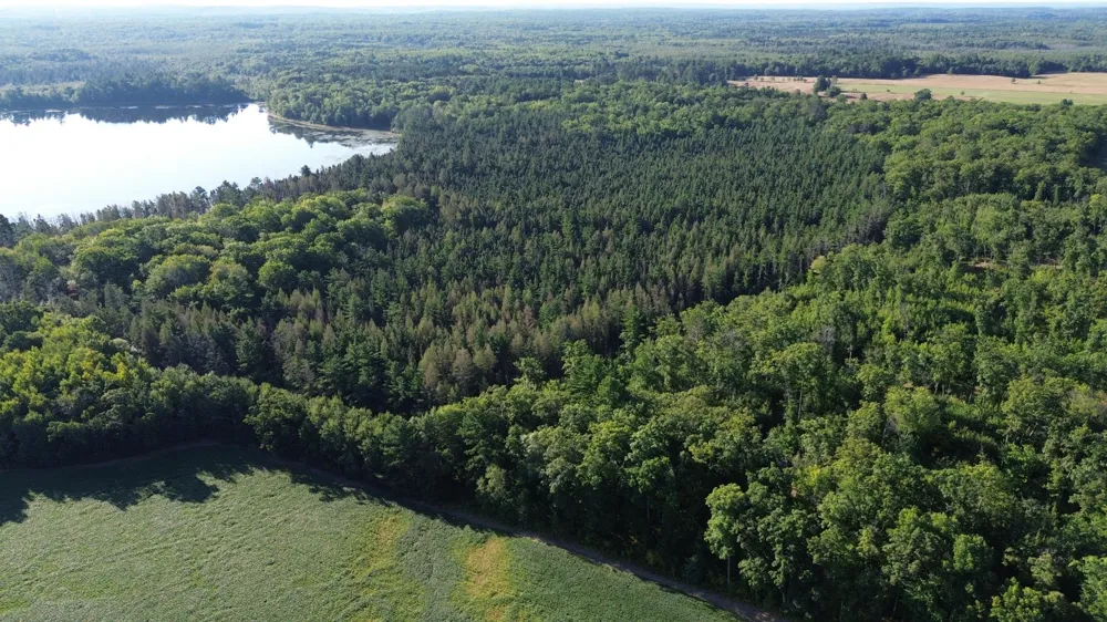 0000 Sand Lake Road Stone Lake, WI 54876