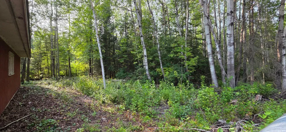 4585 Highway 11 International Falls, MN 56649