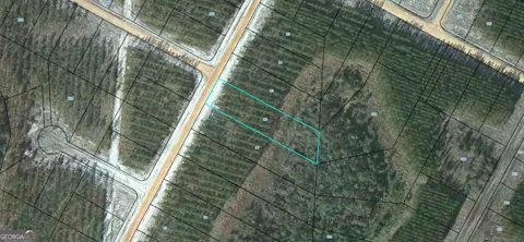 92 Satilla Plantation