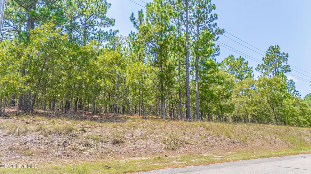 143 Swaringen Drive Seven Lakes, NC 27376