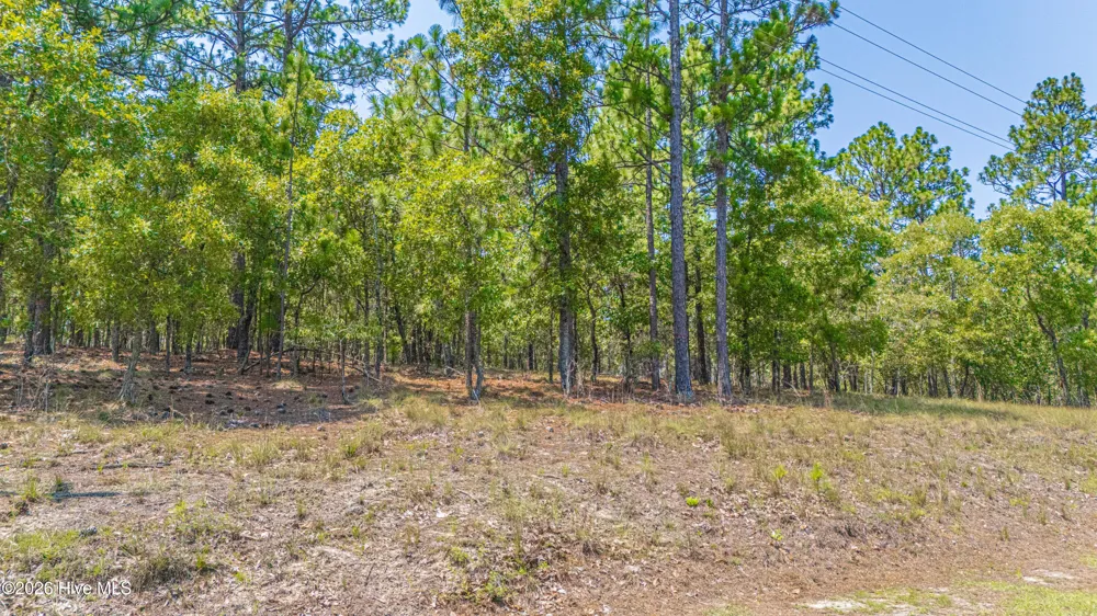 143 Swaringen Drive Seven Lakes, NC 27376