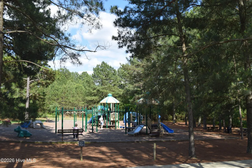 143 Swaringen Drive Seven Lakes, NC 27376