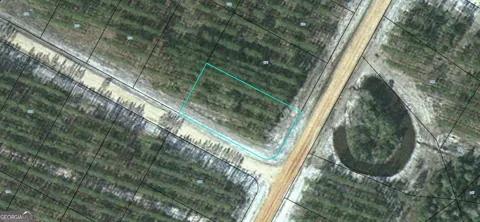 LOT 172 Satilla Plantation