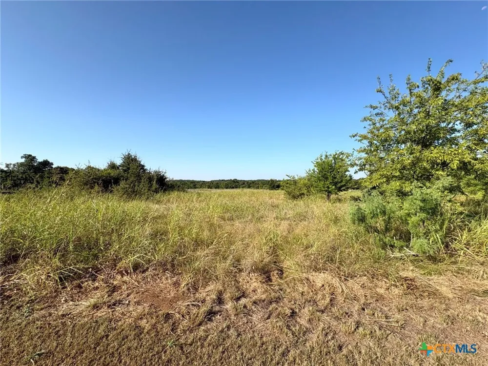 Lamotte Drive Troy, TX 76579