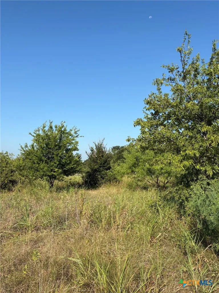 Lamotte Drive Troy, TX 76579