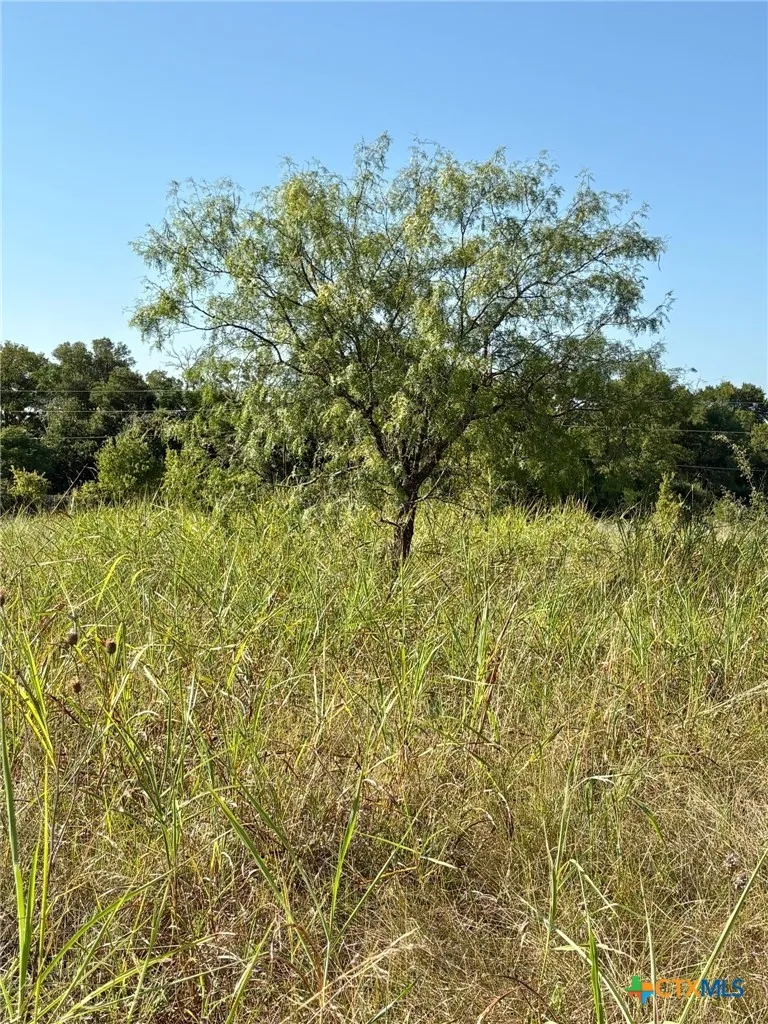 Lamotte Drive Troy, TX 76579