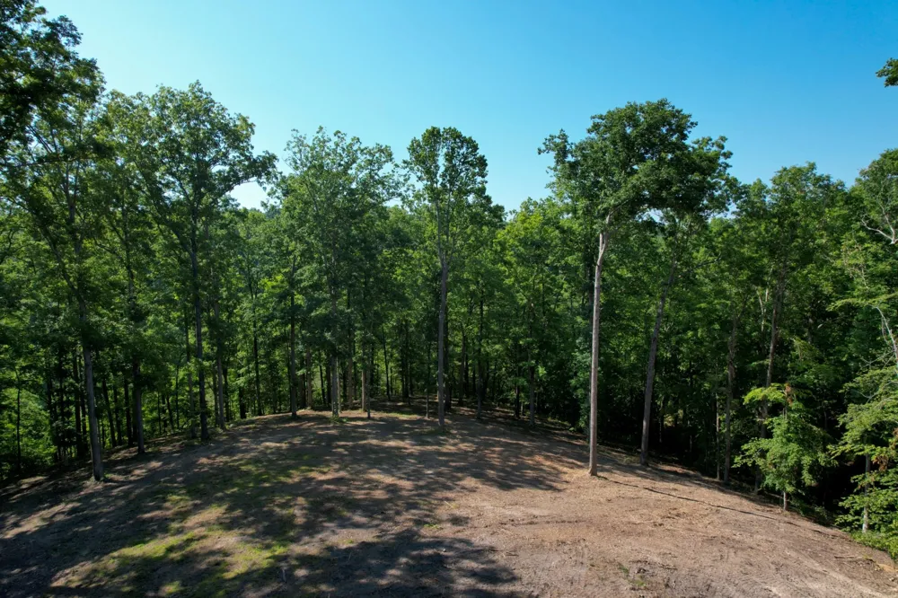 7506 Ivorybill Ln Franklin, TN 37064