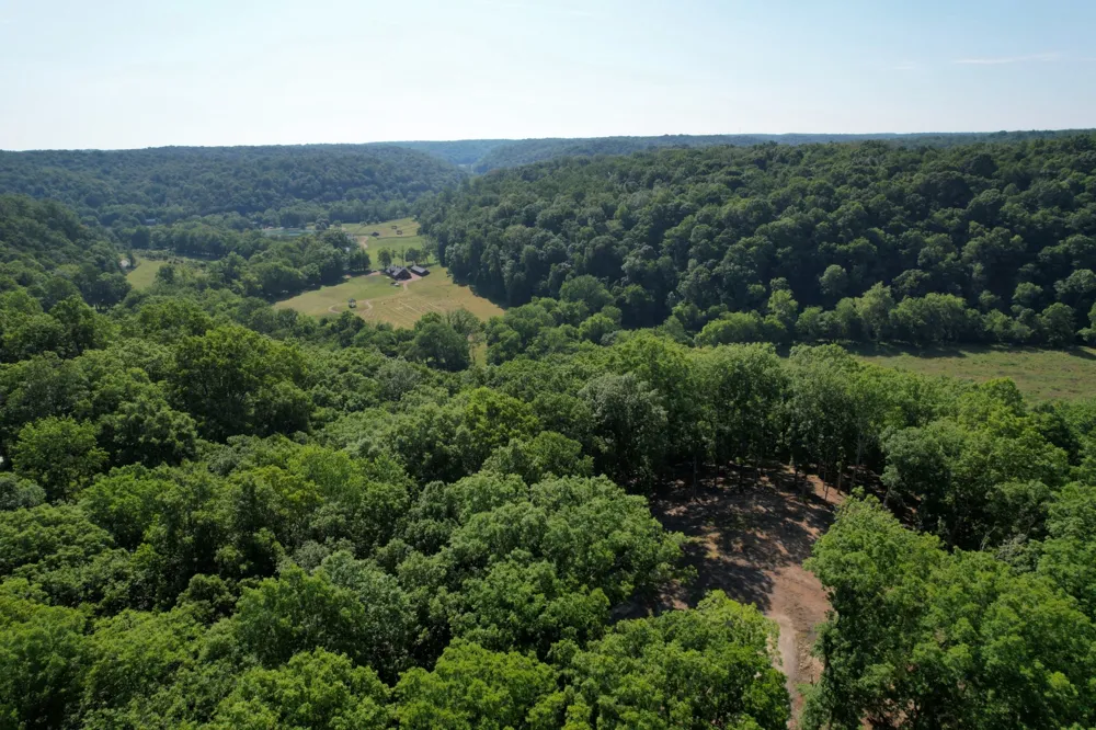 7506 Ivorybill Ln Franklin, TN 37064