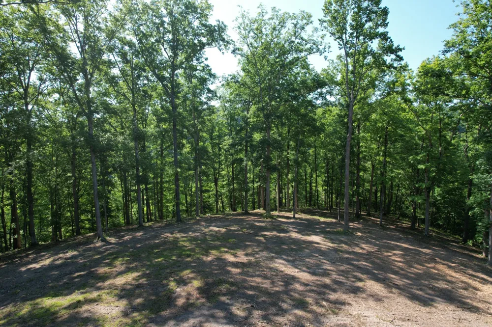 7506 Ivorybill Ln Franklin, TN 37064