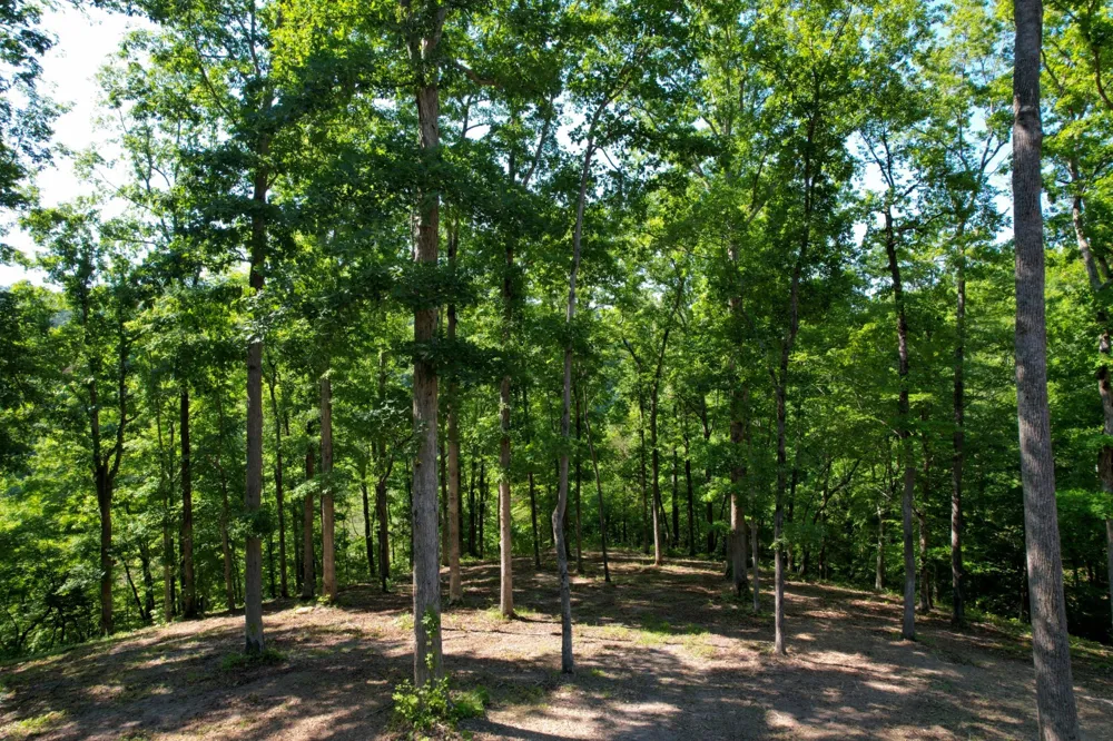 7506 Ivorybill Ln Franklin, TN 37064