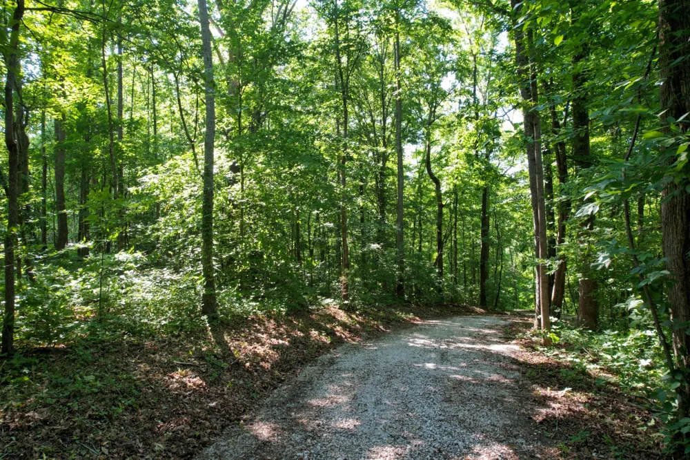 7506 Ivorybill Ln Franklin, TN 37064