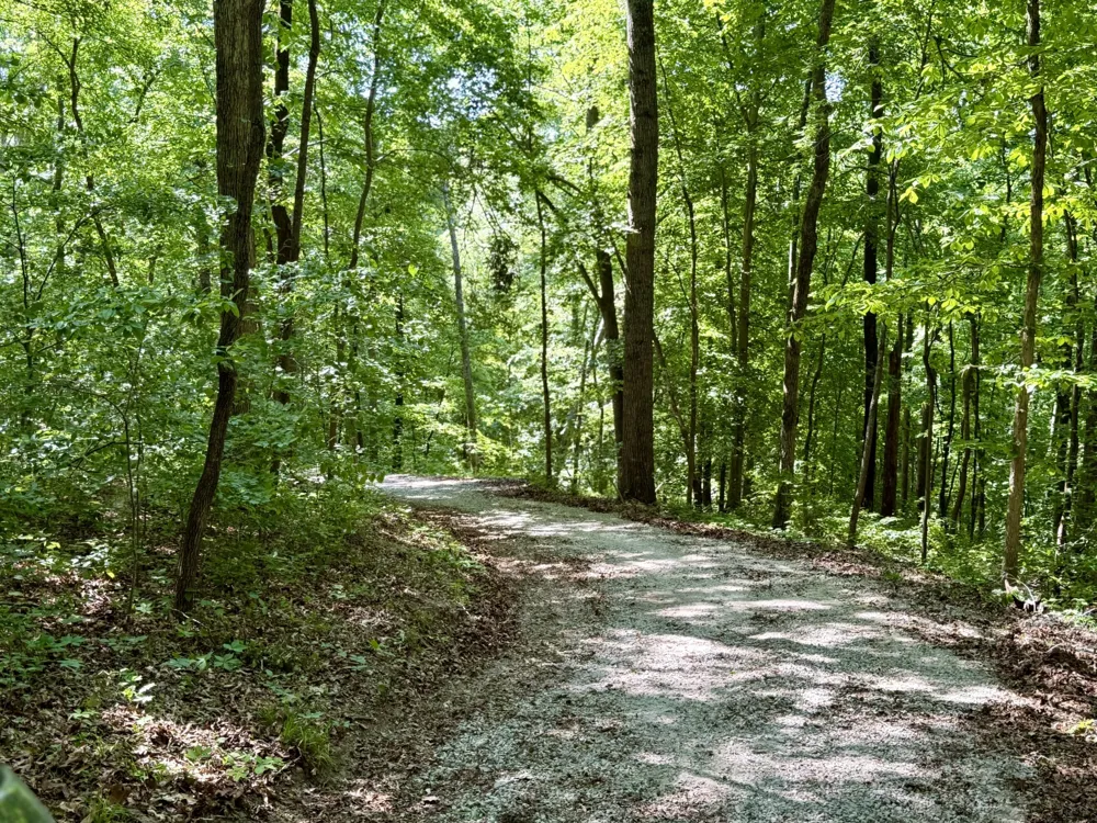 7506 Ivorybill Ln Franklin, TN 37064