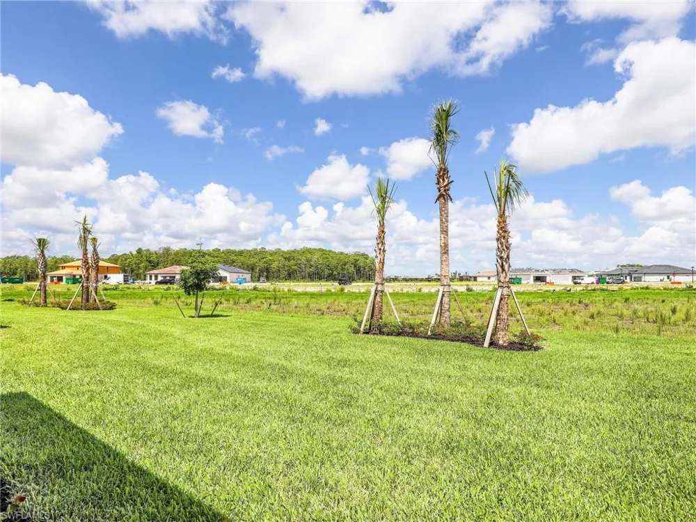 20416 Verawood Loop Estero, FL 33928