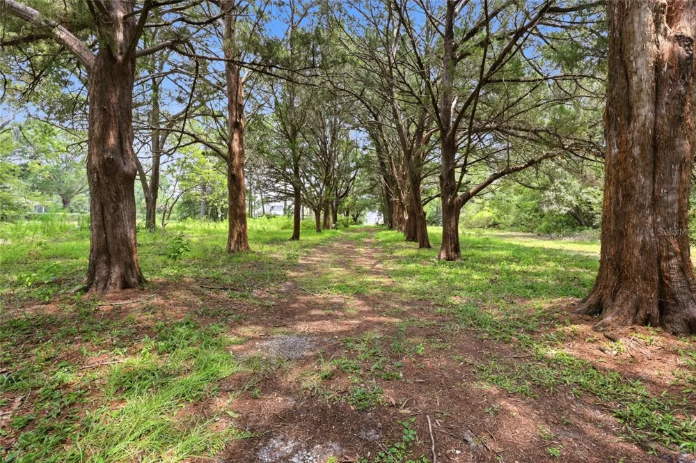 95289 NASSAU RIVER ROAD Fernandina Beach, FL 32034