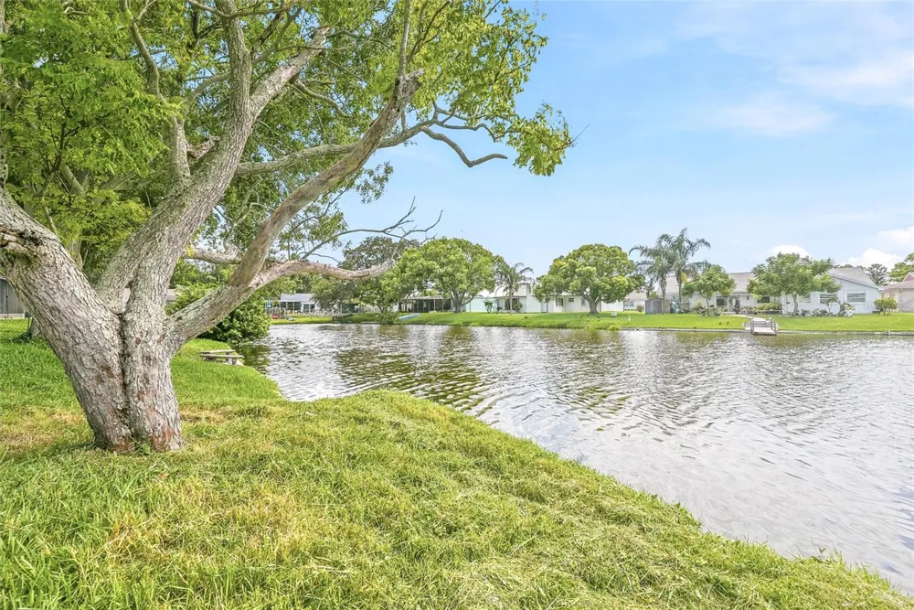 3611 DELTA PLACE Holiday, FL 34691