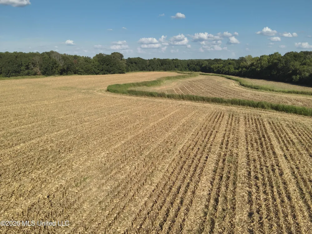 1650 Linwood Road Vaughan, MS 39179