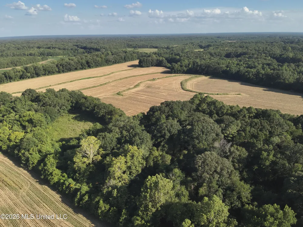 1650 Linwood Road Vaughan, MS 39179