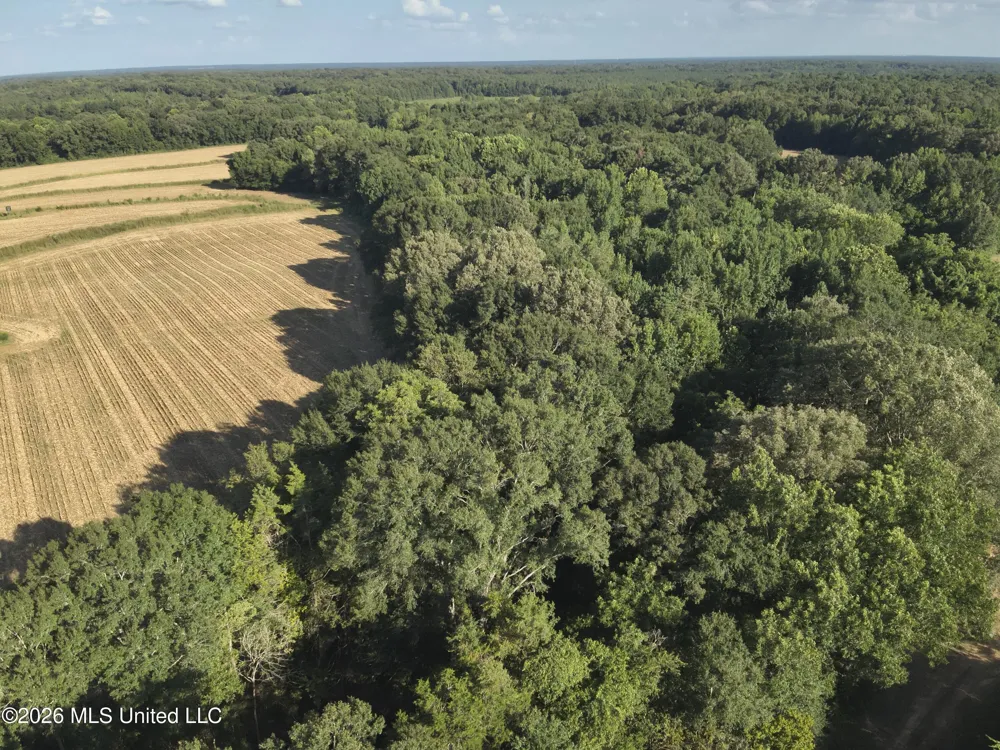 1650 Linwood Road Vaughan, MS 39179