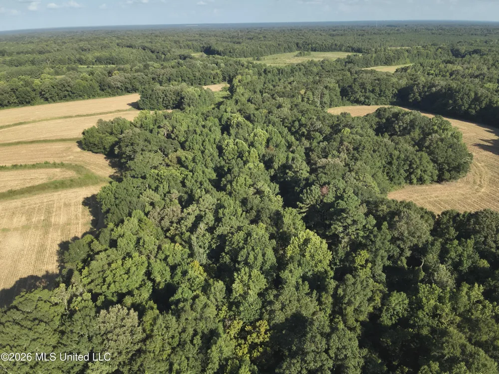 1650 Linwood Road Vaughan, MS 39179