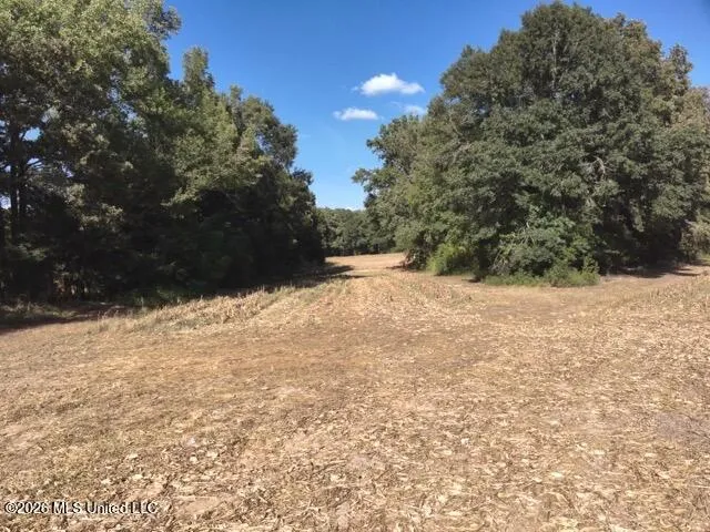 1650 Linwood Road Vaughan, MS 39179