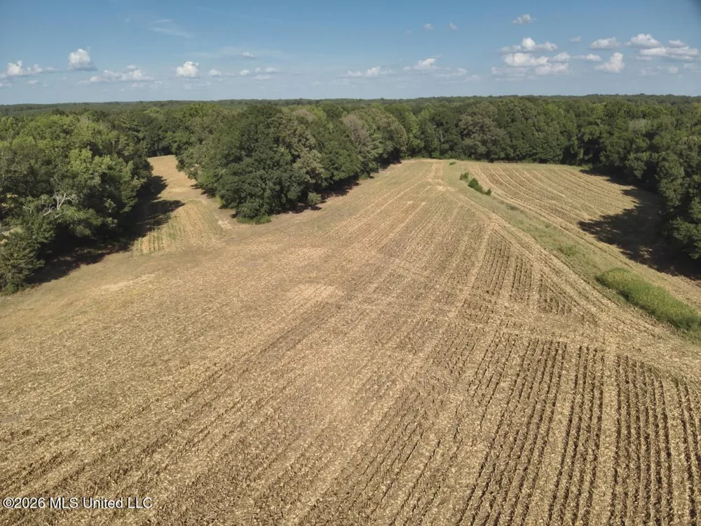 1650 Linwood Road Vaughan, MS 39179