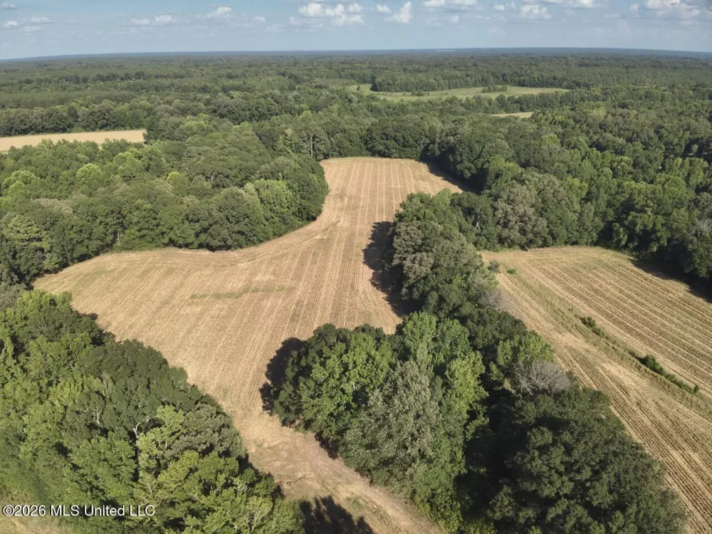 1650 Linwood Road Vaughan, MS 39179