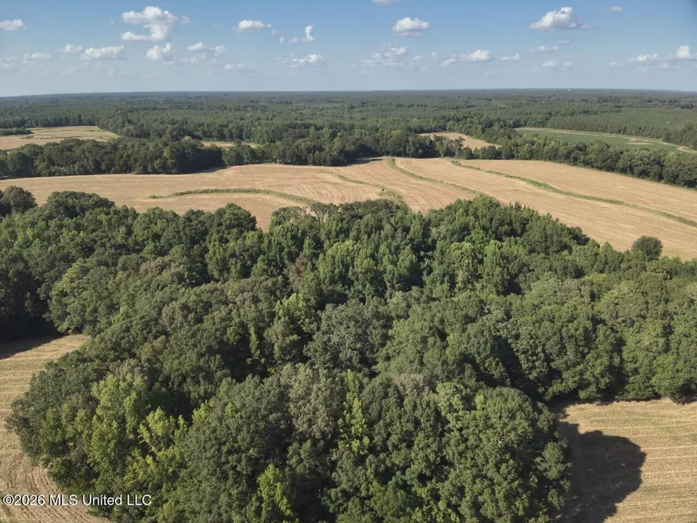 1650 Linwood Road Vaughan, MS 39179