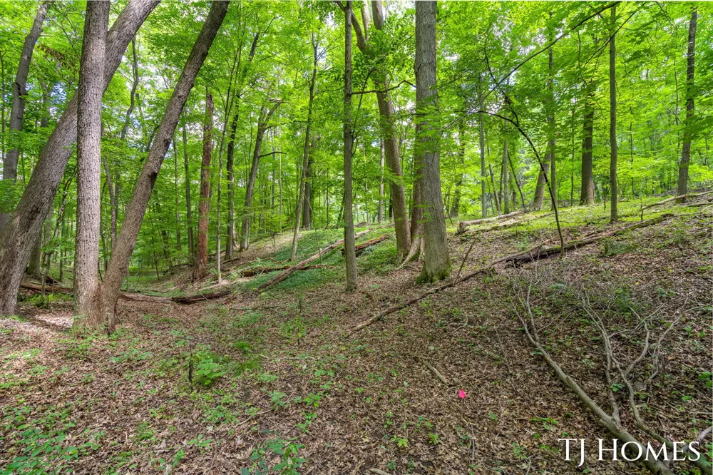 8289 52nd Street SE Alto, MI 49302