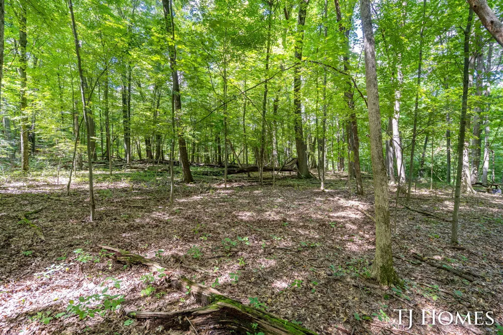 8289 52nd Street SE Alto, MI 49302